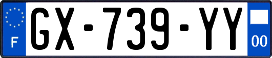 GX-739-YY