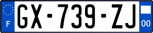 GX-739-ZJ