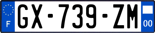 GX-739-ZM