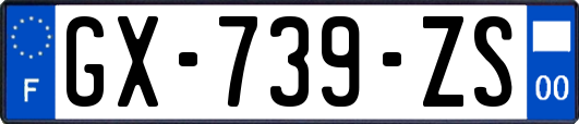 GX-739-ZS