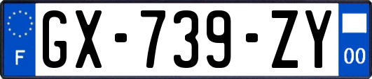 GX-739-ZY