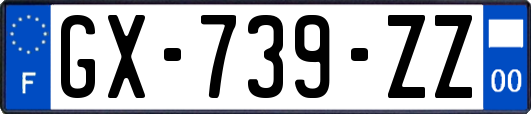 GX-739-ZZ