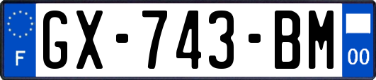 GX-743-BM
