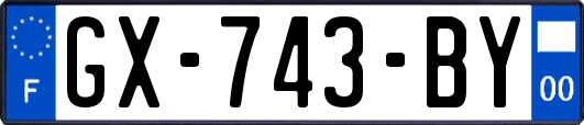GX-743-BY
