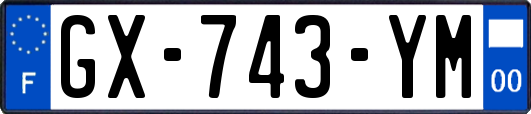 GX-743-YM