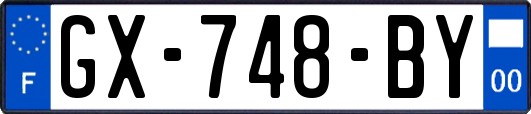 GX-748-BY