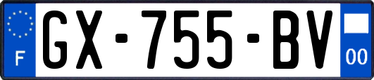 GX-755-BV