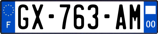 GX-763-AM