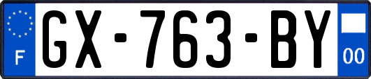 GX-763-BY