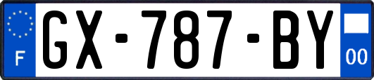 GX-787-BY