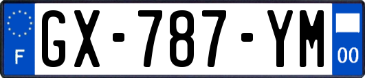 GX-787-YM