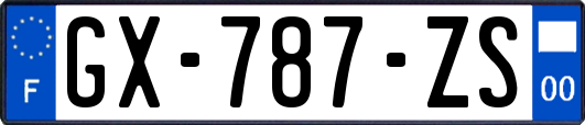 GX-787-ZS