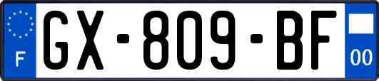 GX-809-BF