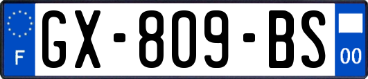 GX-809-BS