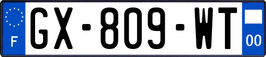 GX-809-WT