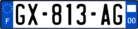 GX-813-AG