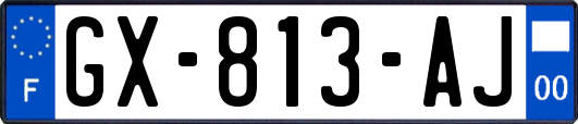 GX-813-AJ