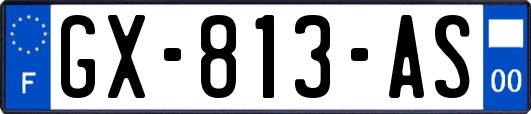 GX-813-AS