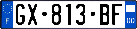 GX-813-BF