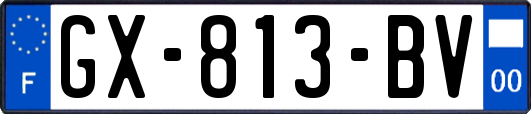GX-813-BV