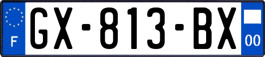 GX-813-BX