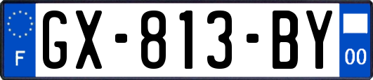 GX-813-BY