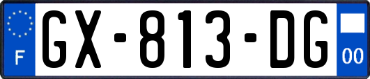 GX-813-DG