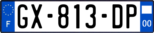 GX-813-DP