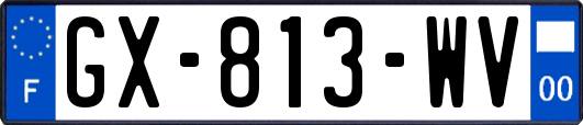 GX-813-WV