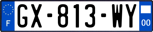 GX-813-WY