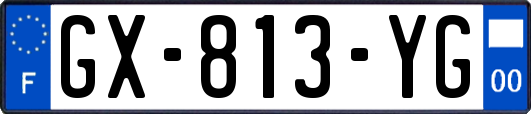 GX-813-YG