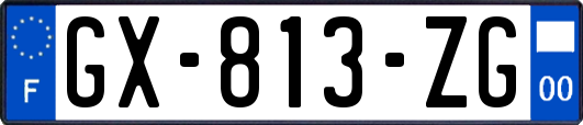 GX-813-ZG