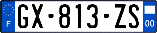 GX-813-ZS