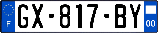 GX-817-BY