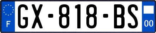 GX-818-BS