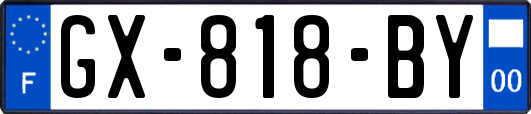 GX-818-BY