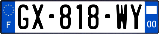 GX-818-WY