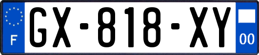 GX-818-XY