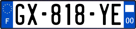 GX-818-YE