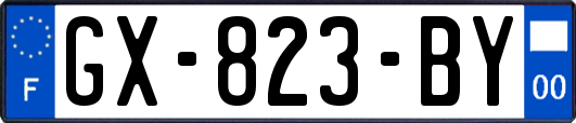 GX-823-BY