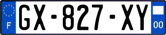 GX-827-XY