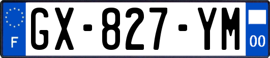 GX-827-YM