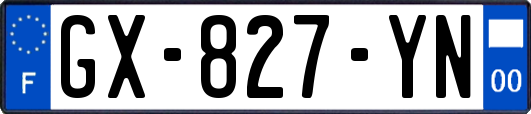GX-827-YN