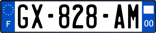 GX-828-AM