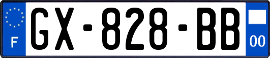 GX-828-BB