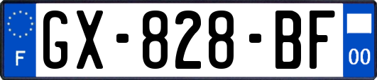 GX-828-BF
