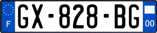 GX-828-BG