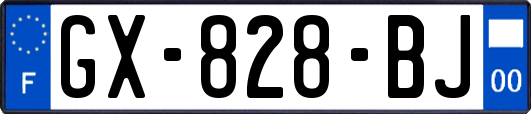 GX-828-BJ