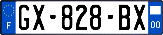 GX-828-BX