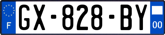 GX-828-BY